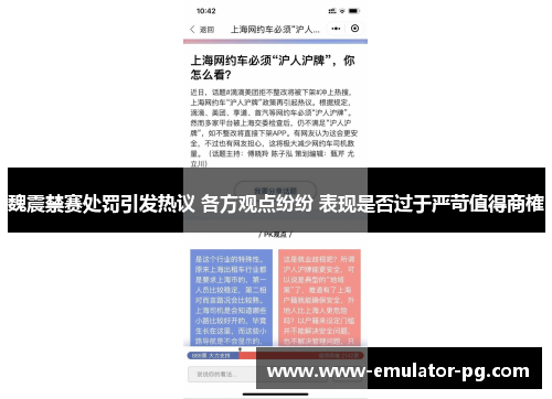 魏震禁赛处罚引发热议 各方观点纷纷 表现是否过于严苛值得商榷